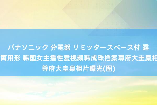 パナソニック 分電盤 リミッタースペース付 露出・半埋込両用形 韩国女主播性爱视频韩成珠档案尊府大圭臬相片曝光(图)